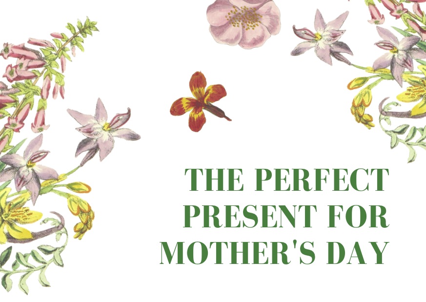 the perfect present for mothers day